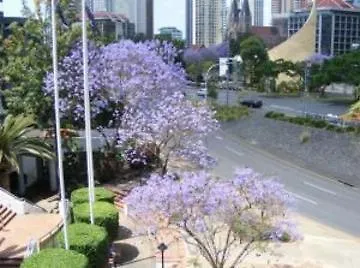 ****  Quality Hotel The Inchcolm بريزبين أستراليا